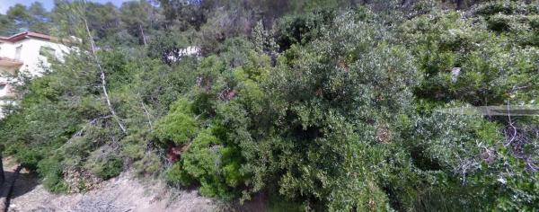 Terreno en Vallirana
