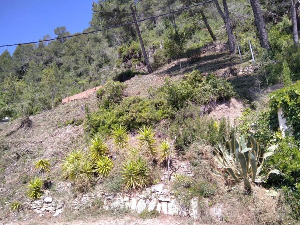 Terreno en Vallirana