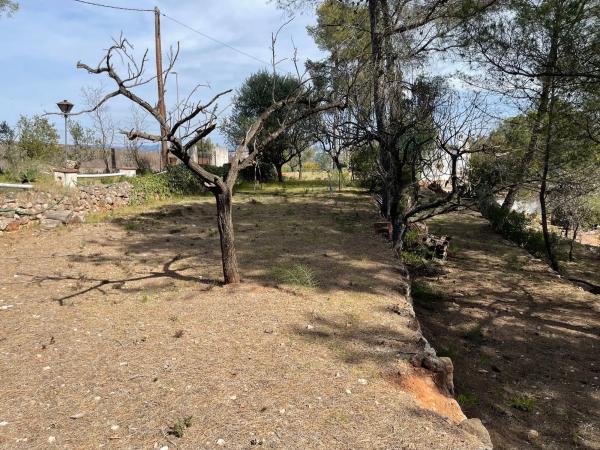 Terreno en calle de la Creu de Sussalba, 9