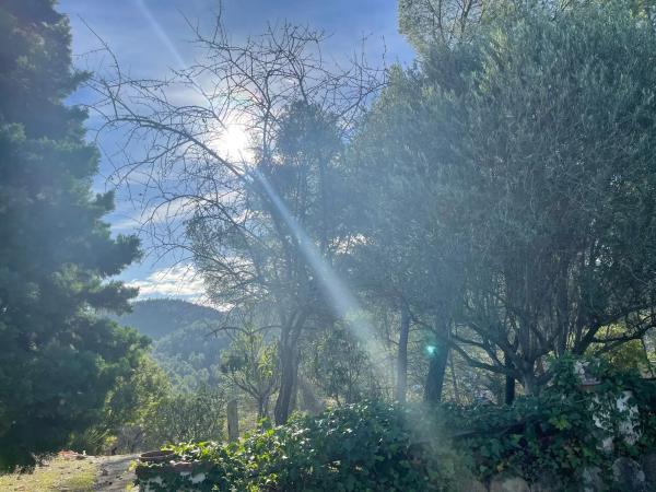 Terreno en calle de la Creu de Sussalba, 9