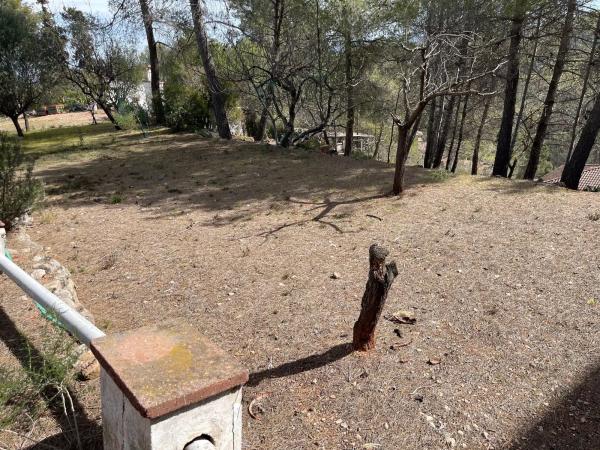 Terreno en calle de la Creu de Sussalba, 9