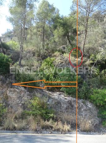 Terreno en La Palma de Cervelló