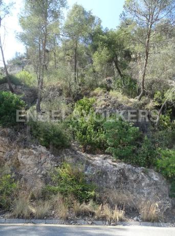 Terreno en La Palma de Cervelló