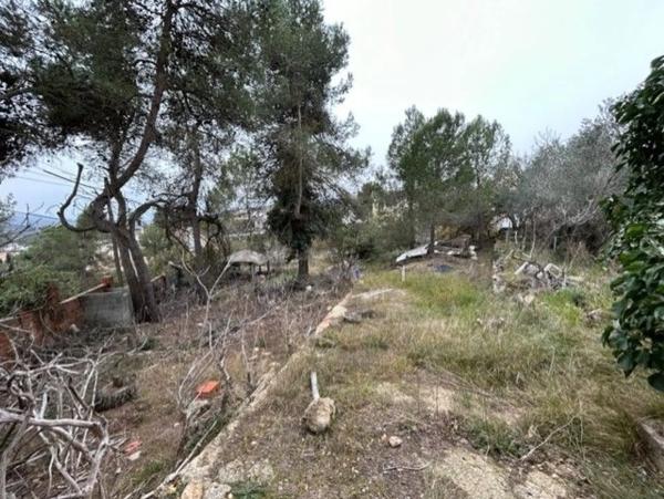 Terreno en riu esenia s/n