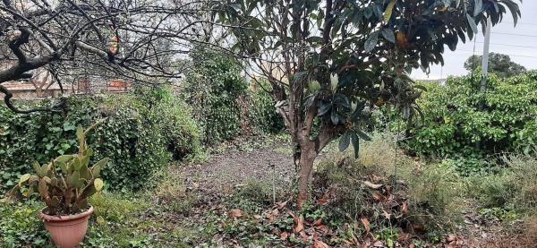 Terreno en Segre, 64