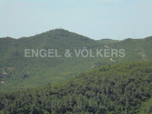 Terreno en camino Ral