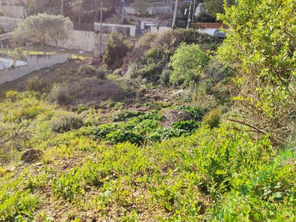 Terreno en calle de Miguel de Cervantes, 11