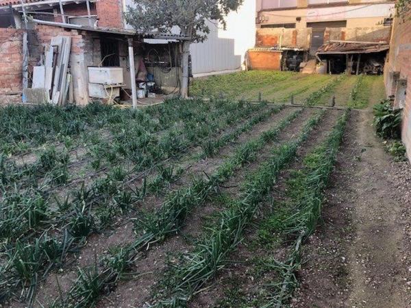 Terreno en Nucli Urbà