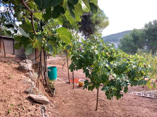 Terreno en Corbera de Llobregat