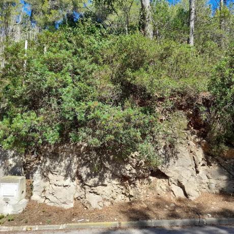 Terreno en avenida Olesa de Bonesvalls
