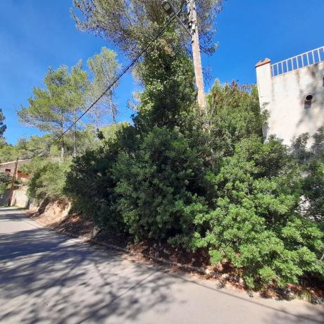 Terreno en avenida Olesa de Bonesvalls