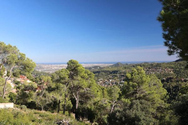 Terreno en calle de l'Alzina, 145