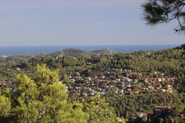 Terreno en calle de l'Alzina, 145