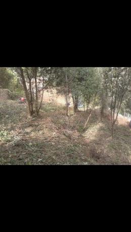 Terreno en calle Isaac Albéniz, 10