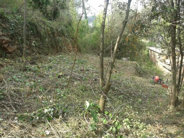 Terreno en calle Isaac Albéniz, 10