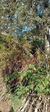 Terreno en calle del Mercadal, 6