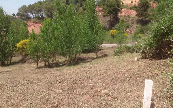 Terreno en calle ramon martí alsina, 8