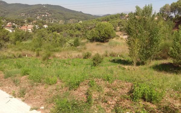 Terreno en calle ramon martí alsina, 8