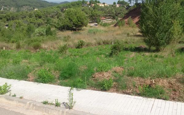 Terreno en calle ramon martí alsina, 8