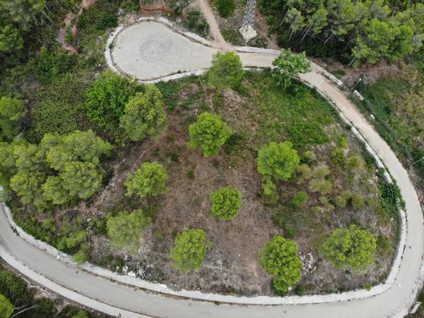 Terreno en avenida dels Pinars, 150 -152 179-181