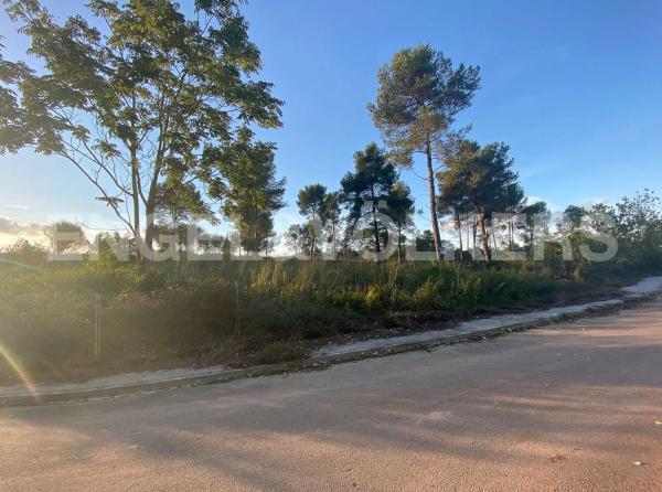 Terreno en Vallirana