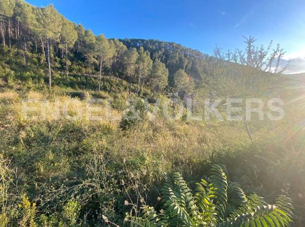 Terreno en Vallirana