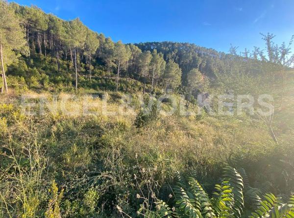 Terreno en Vallirana
