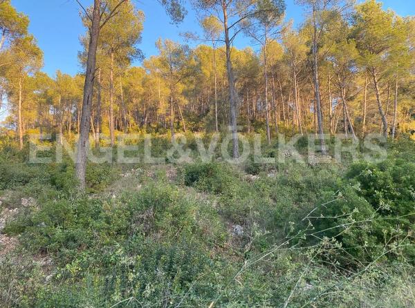 Terreno en Vallirana