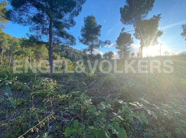 Terreno en Vallirana
