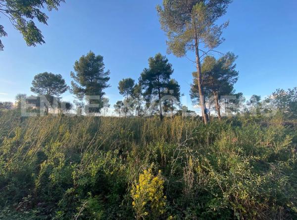 Terreno en Vallirana
