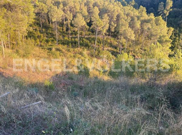 Terreno en Vallirana