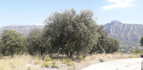 Terreno en calle d'Alfarràs, 11