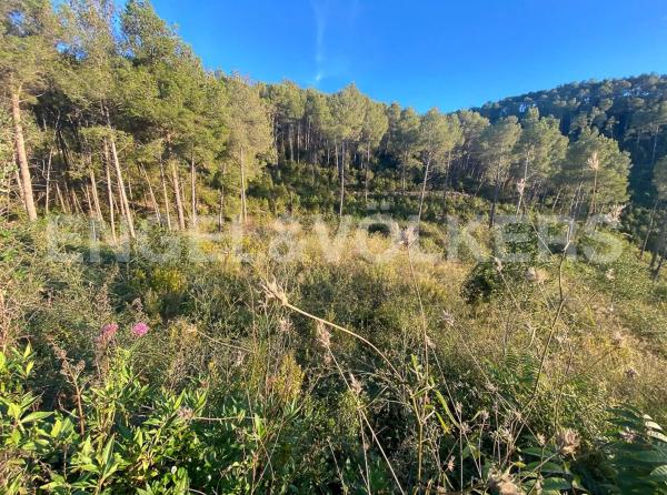 Terreno en Vallirana