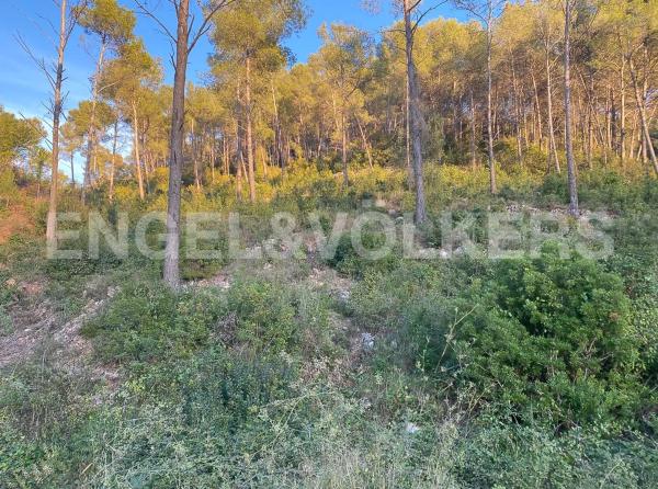 Terreno en Vallirana