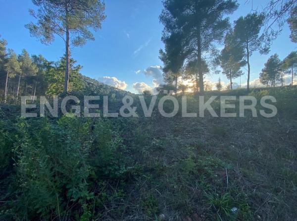Terreno en Vallirana