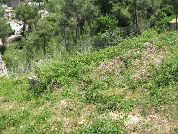 Terreno en avenida Olesa de Bonesvalls, 26