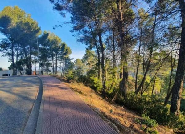 Terreno en avenida de Can Montmany