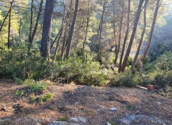 Terreno en avenida de Can Montmany