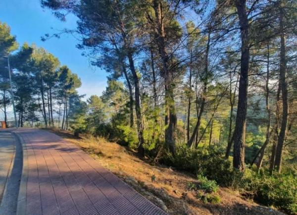 Terreno en avenida de Can Montmany