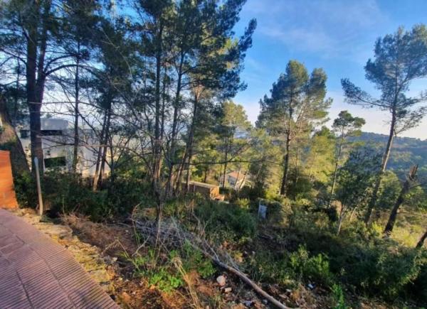 Terreno en avenida de Can Montmany