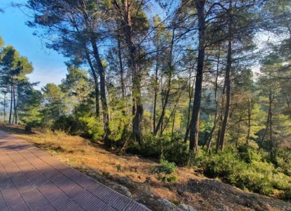 Terreno en avenida de Can Montmany