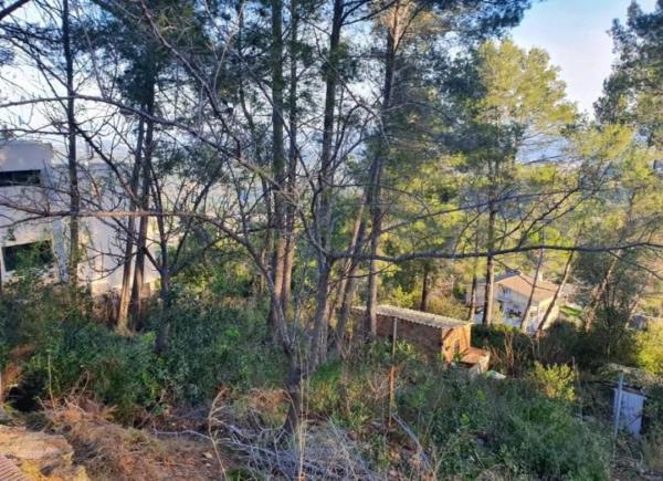 Terreno en avenida de Can Montmany