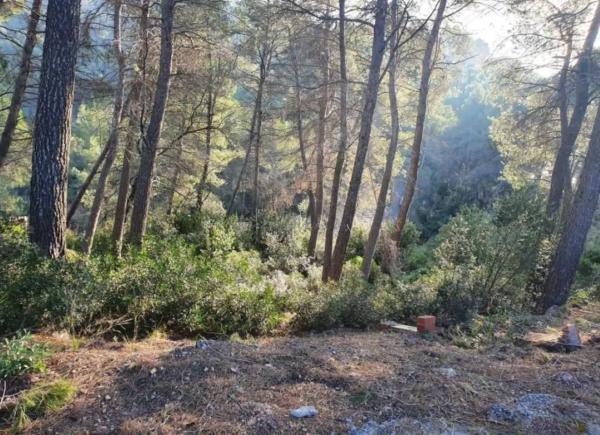 Terreno en avenida de Can Montmany