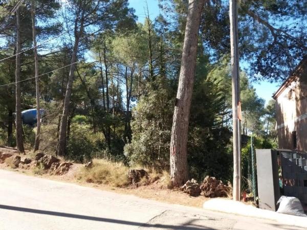Terreno en camino Ral