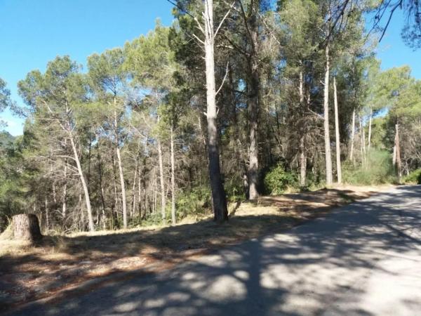 Terreno en calle Mare de Déu de Montserrat