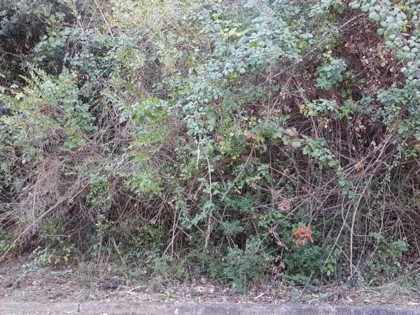 Terreno en calle Mirador de Montserrat