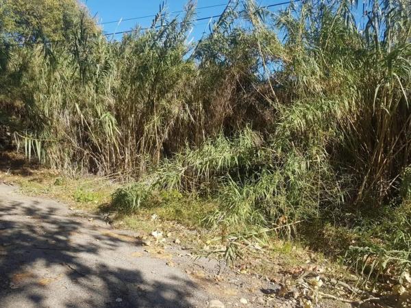 Terreno en calle Montserrat