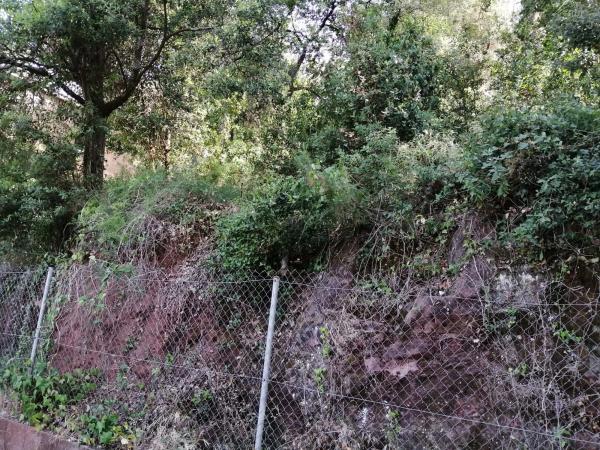 Terreno en calle del Xarel·lo, 14