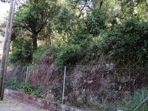 Terreno en calle del Xarel·lo, 14