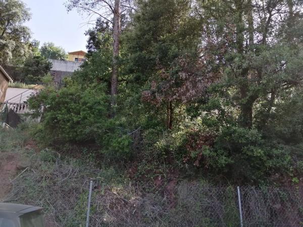Terreno en calle del Xarel·lo, 14